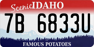 ID license plate 7B6833U