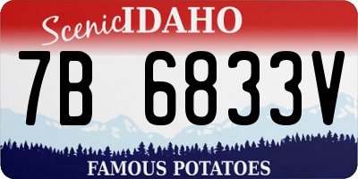 ID license plate 7B6833V