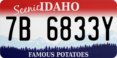 ID license plate 7B6833Y