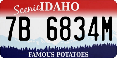 ID license plate 7B6834M