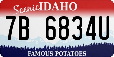 ID license plate 7B6834U