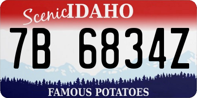 ID license plate 7B6834Z