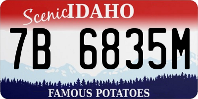ID license plate 7B6835M