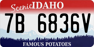 ID license plate 7B6836V