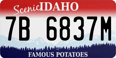 ID license plate 7B6837M