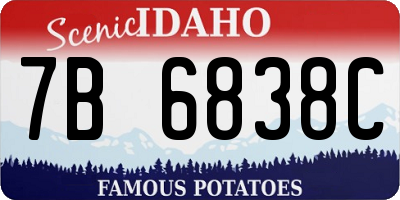 ID license plate 7B6838C