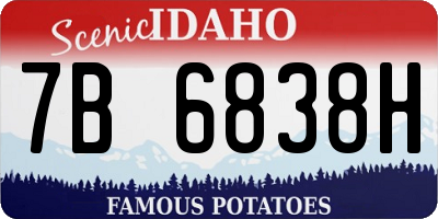 ID license plate 7B6838H