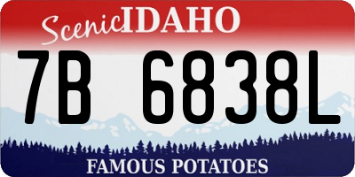 ID license plate 7B6838L
