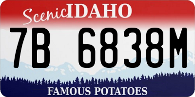 ID license plate 7B6838M