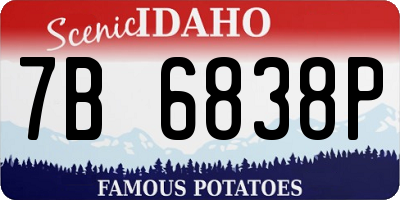 ID license plate 7B6838P