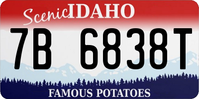 ID license plate 7B6838T