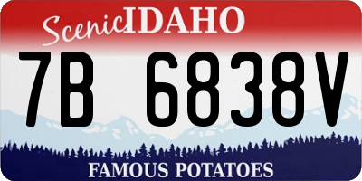 ID license plate 7B6838V