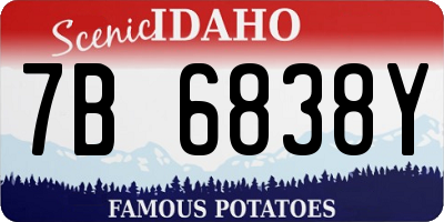 ID license plate 7B6838Y