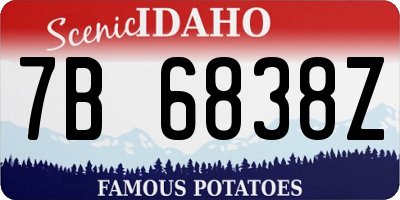 ID license plate 7B6838Z
