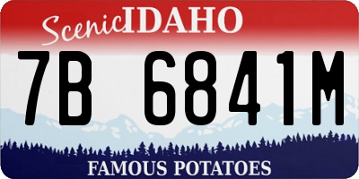 ID license plate 7B6841M