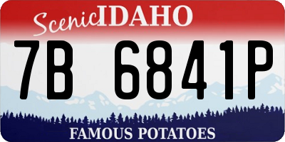 ID license plate 7B6841P
