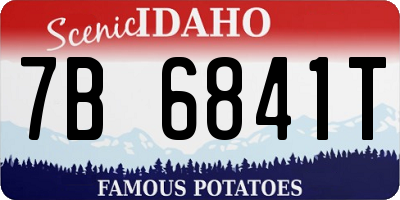 ID license plate 7B6841T