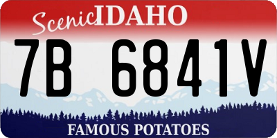 ID license plate 7B6841V
