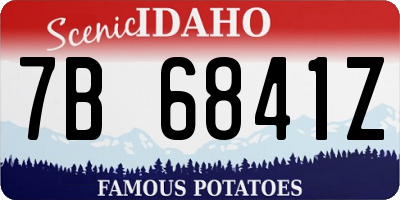 ID license plate 7B6841Z