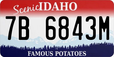ID license plate 7B6843M