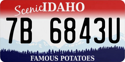 ID license plate 7B6843U