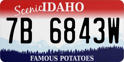 ID license plate 7B6843W