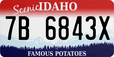 ID license plate 7B6843X
