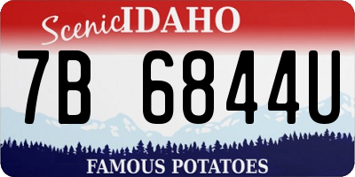 ID license plate 7B6844U