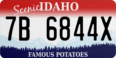 ID license plate 7B6844X