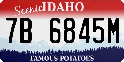 ID license plate 7B6845M