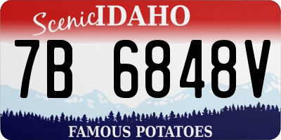 ID license plate 7B6848V