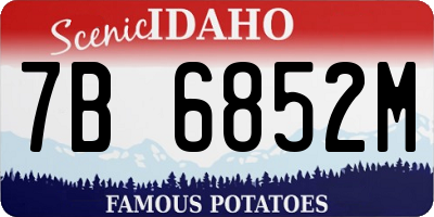 ID license plate 7B6852M