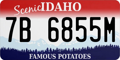 ID license plate 7B6855M