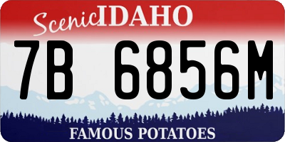 ID license plate 7B6856M