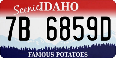 ID license plate 7B6859D