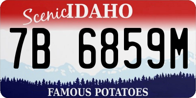ID license plate 7B6859M
