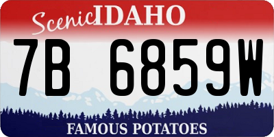 ID license plate 7B6859W