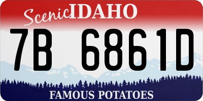 ID license plate 7B6861D