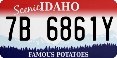 ID license plate 7B6861Y