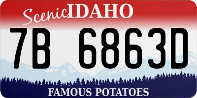 ID license plate 7B6863D