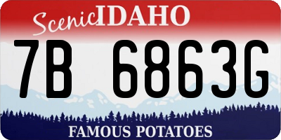 ID license plate 7B6863G