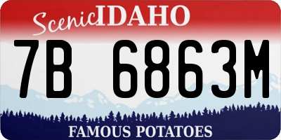 ID license plate 7B6863M