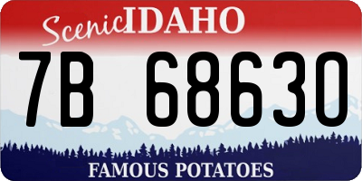ID license plate 7B6863O