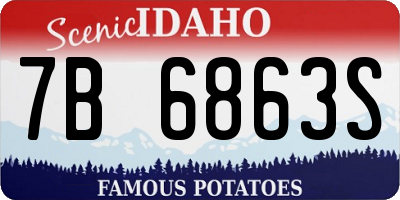 ID license plate 7B6863S