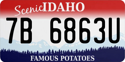 ID license plate 7B6863U