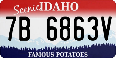 ID license plate 7B6863V