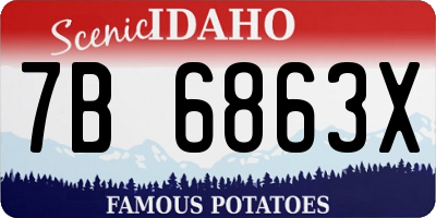 ID license plate 7B6863X