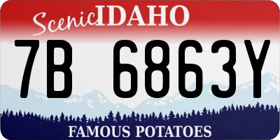 ID license plate 7B6863Y