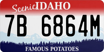 ID license plate 7B6864M