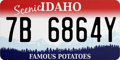 ID license plate 7B6864Y